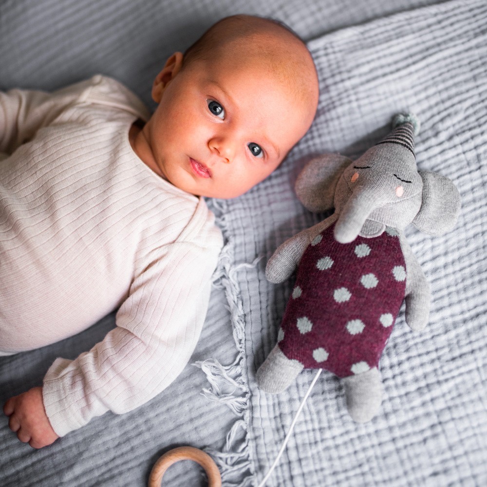 Ava & Yves - Spieluhr Elefant mit Hütchen