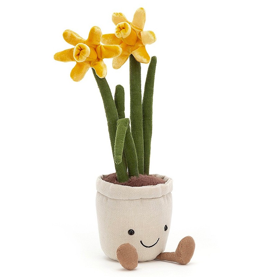 Amuseable Daffodil