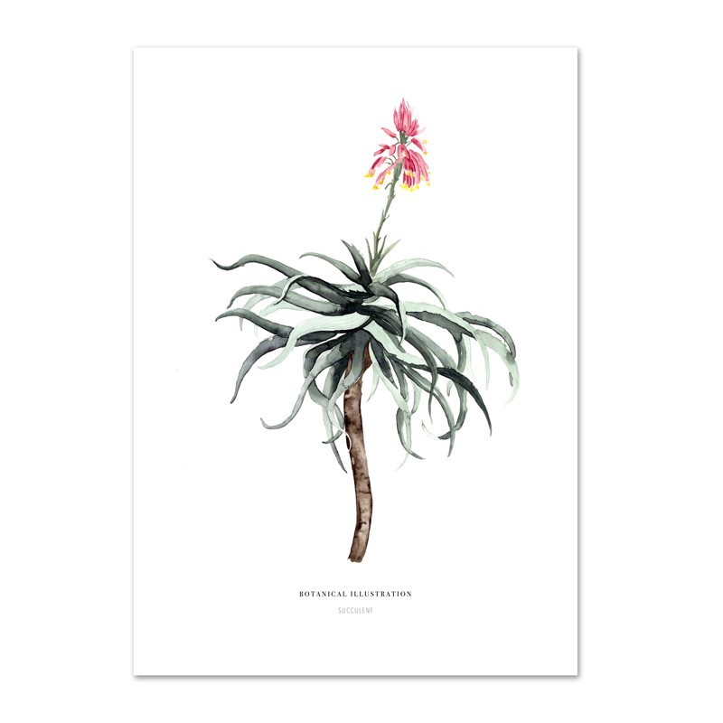 Leo La Douce - Kunstdruck "Succulent"